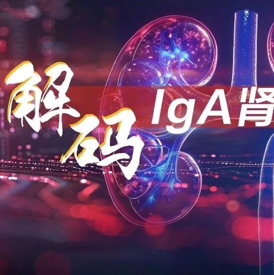 不只蛋白尿！血尿，被低估的IgA肾病预后预警信号