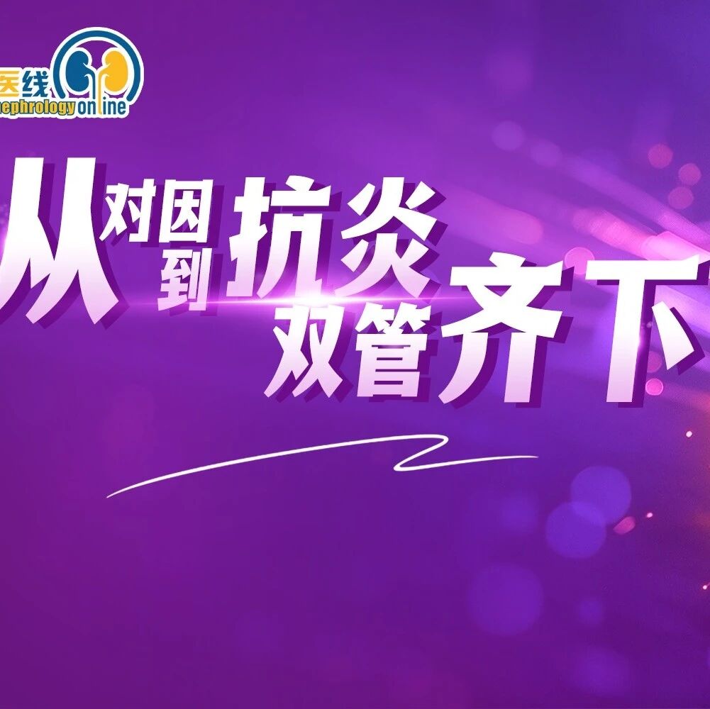 从对因到抗炎，双管齐下：全程干预IgA肾病病理进程，探索中国治疗破局之路