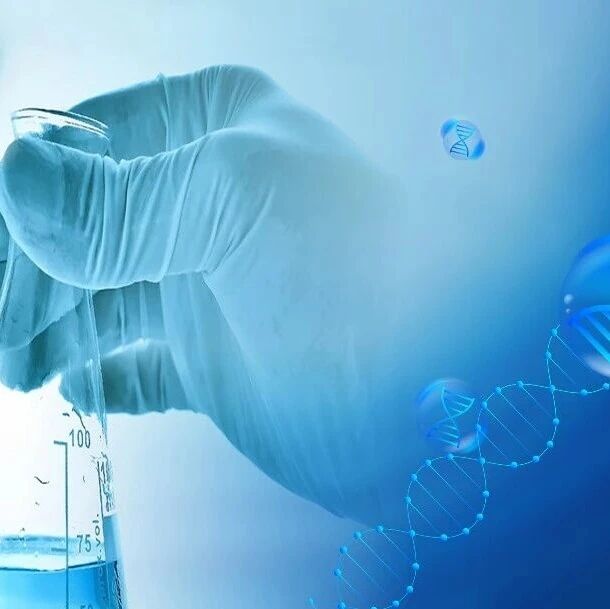 联合用药亦稳定：非奈利酮持续降低2型糖尿病合并CKD患者尿白蛋白——FIVE‑STAR试验二次分析