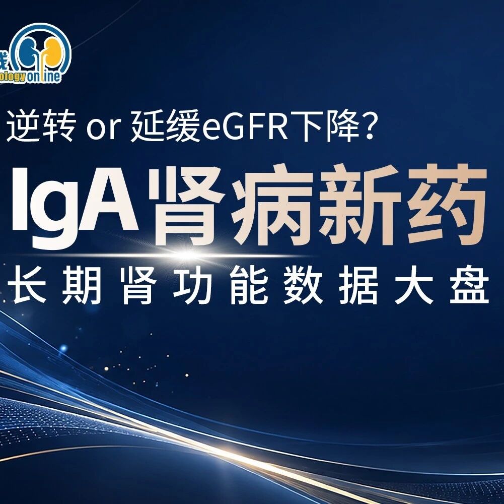逆转 or 延缓eGFR下降？IgA肾病不同作用机制药物长期肾功能ASN最新数据大盘点