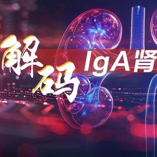 Vera公布阿塞西普ORIGIN 3研究两年最终疗效数据：稳定eGFR，显著降低IgA肾病进展风险76%